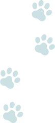 about__bg-image-pawpads